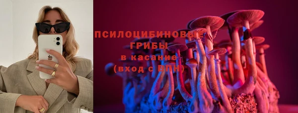 прущая мука Горно-Алтайск