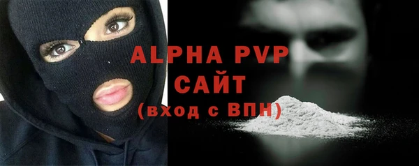 индика Медногорск