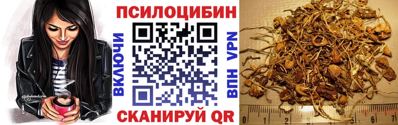 Галлюциногенные грибы Cubensis Избербаш