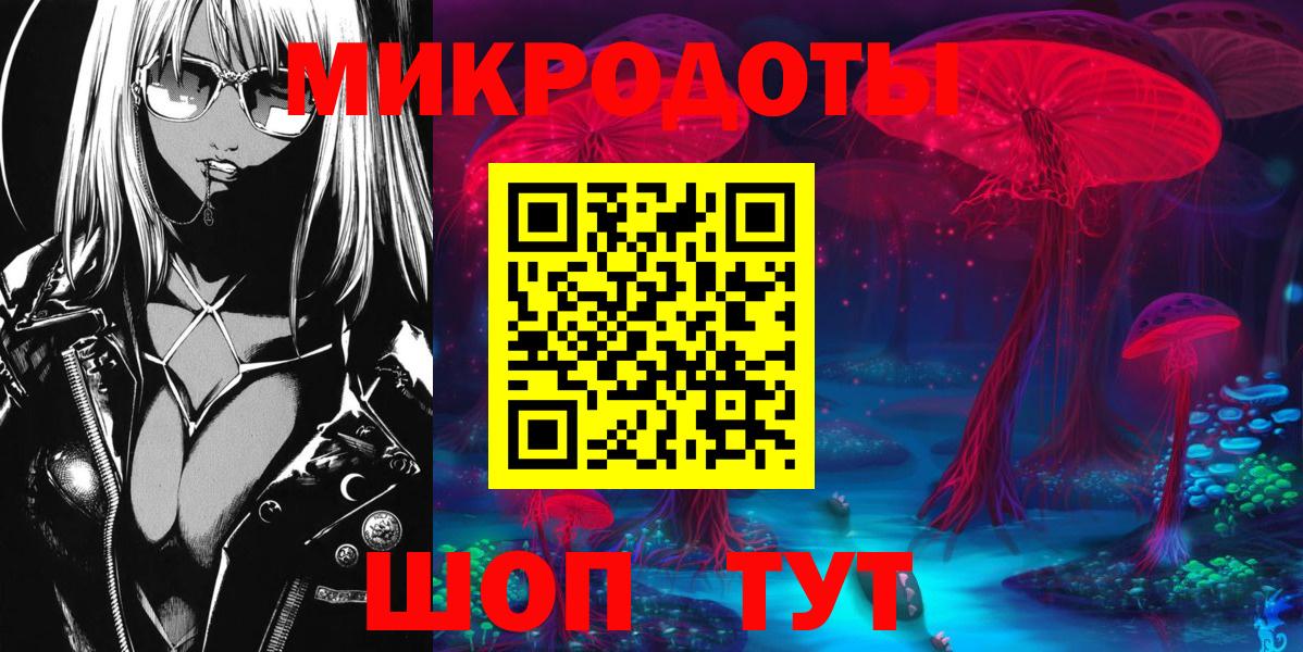 Псилоцибиновые грибы Psilocybe Избербаш