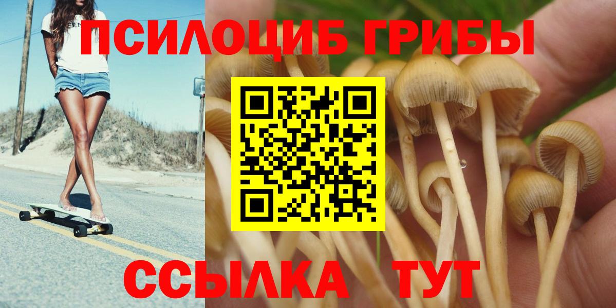 Псилоцибиновые грибы MAGIC MUSHROOMS  Вход с VPN  цены   Избербаш 